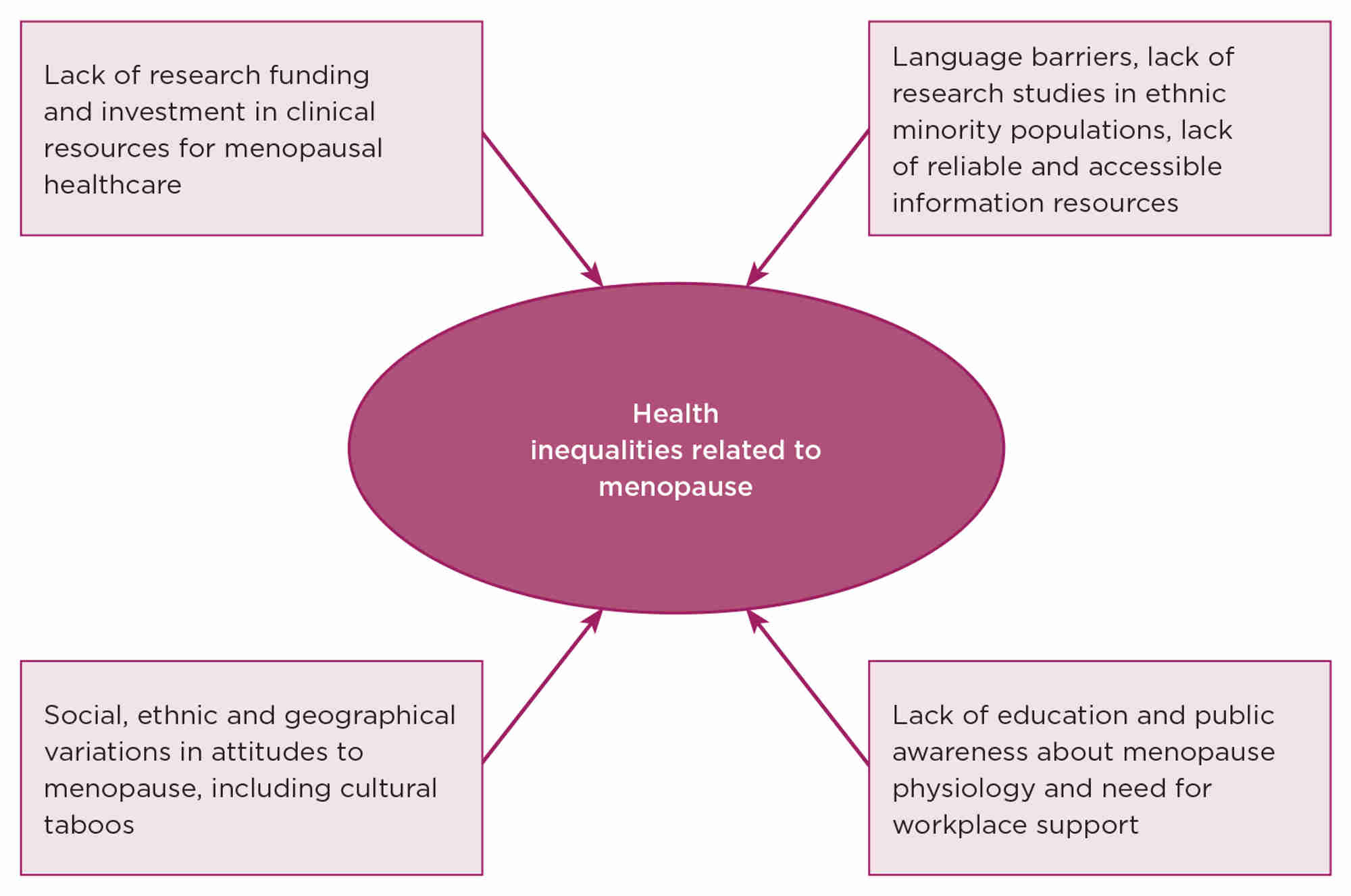 Figure. Factors affecting health inequalities related to menopause.