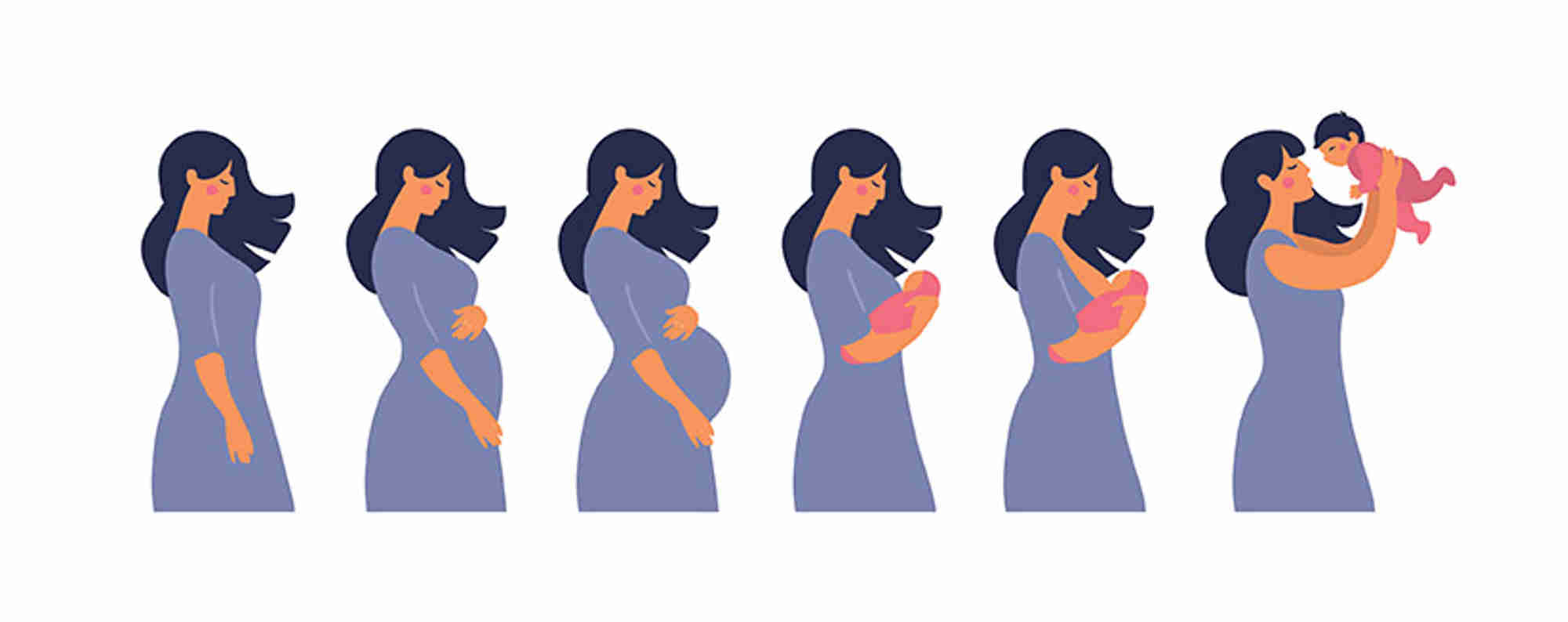 Cartoon of a women at developing stages of pregnancy and post-natally holding an infant