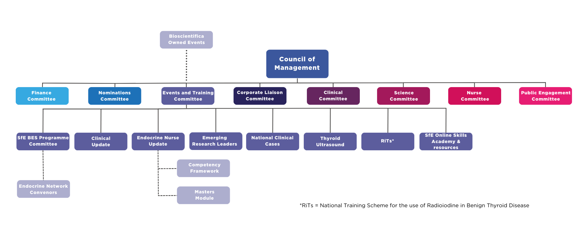Society Council and committees organisational structure