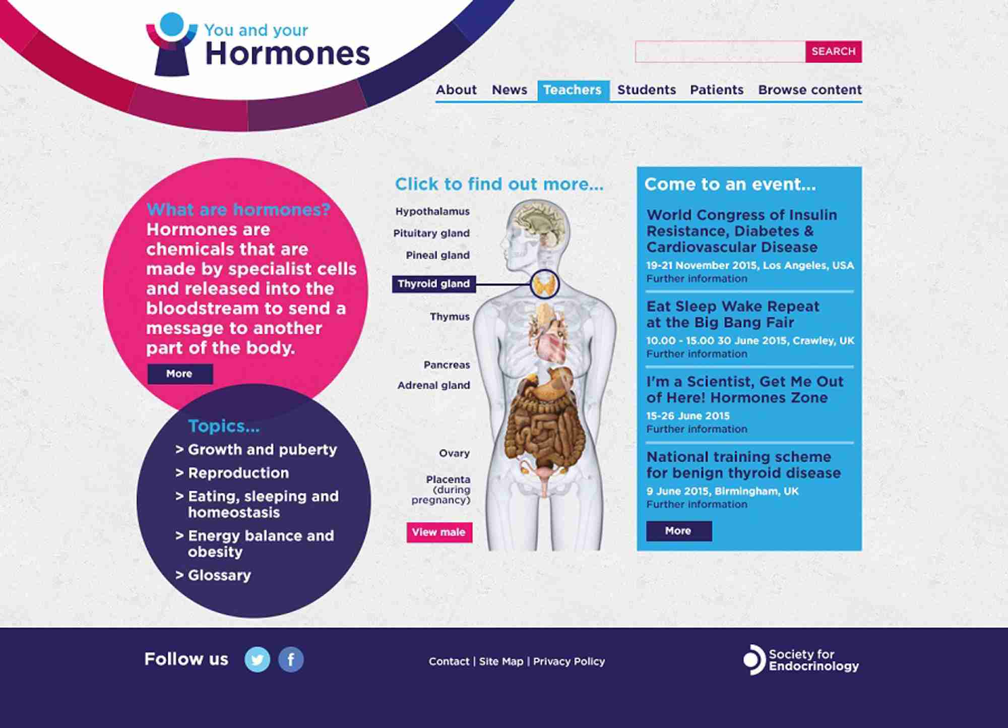 A screenshot of the new You and Your Hormones website