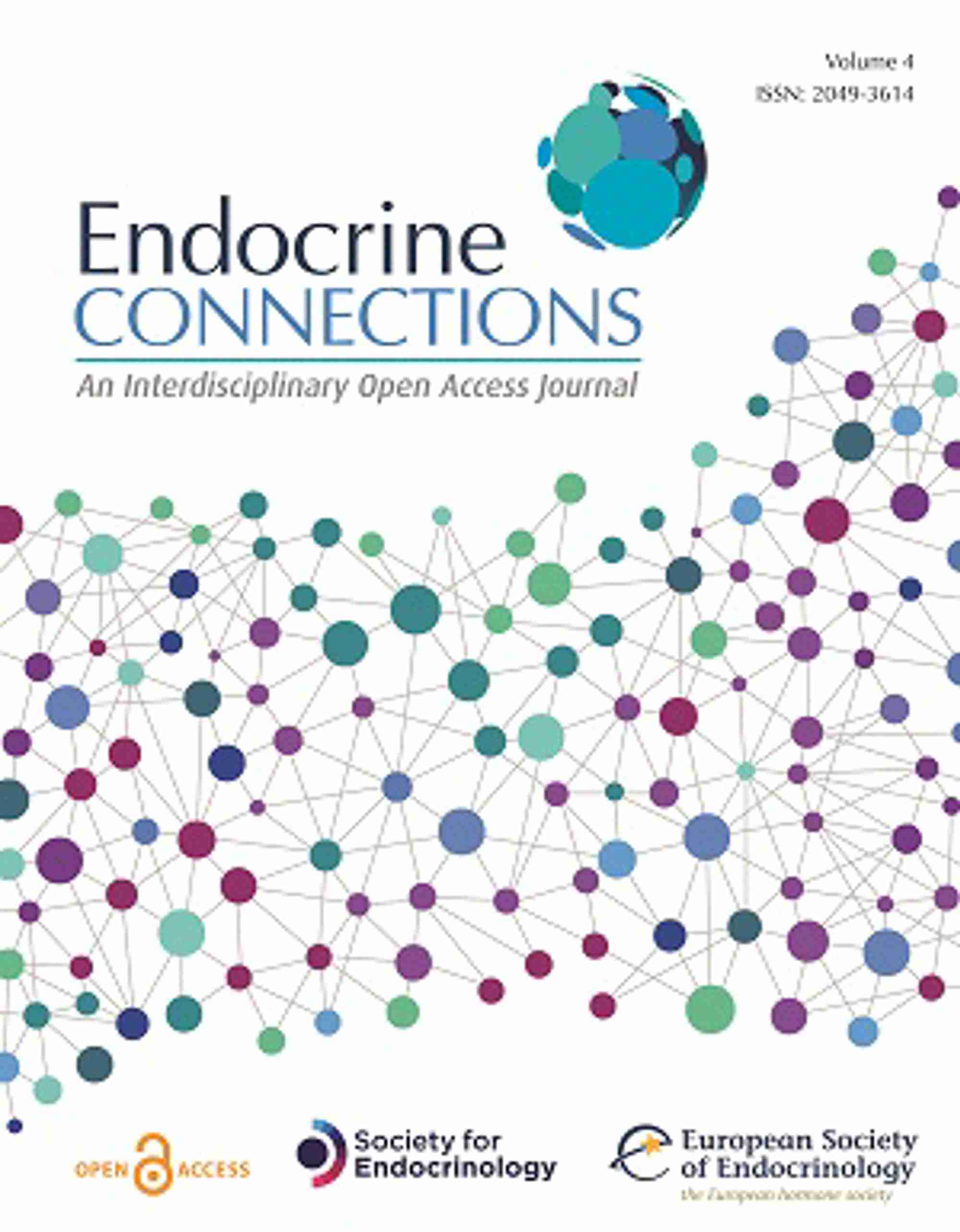 Endocrine Connections small.jpg