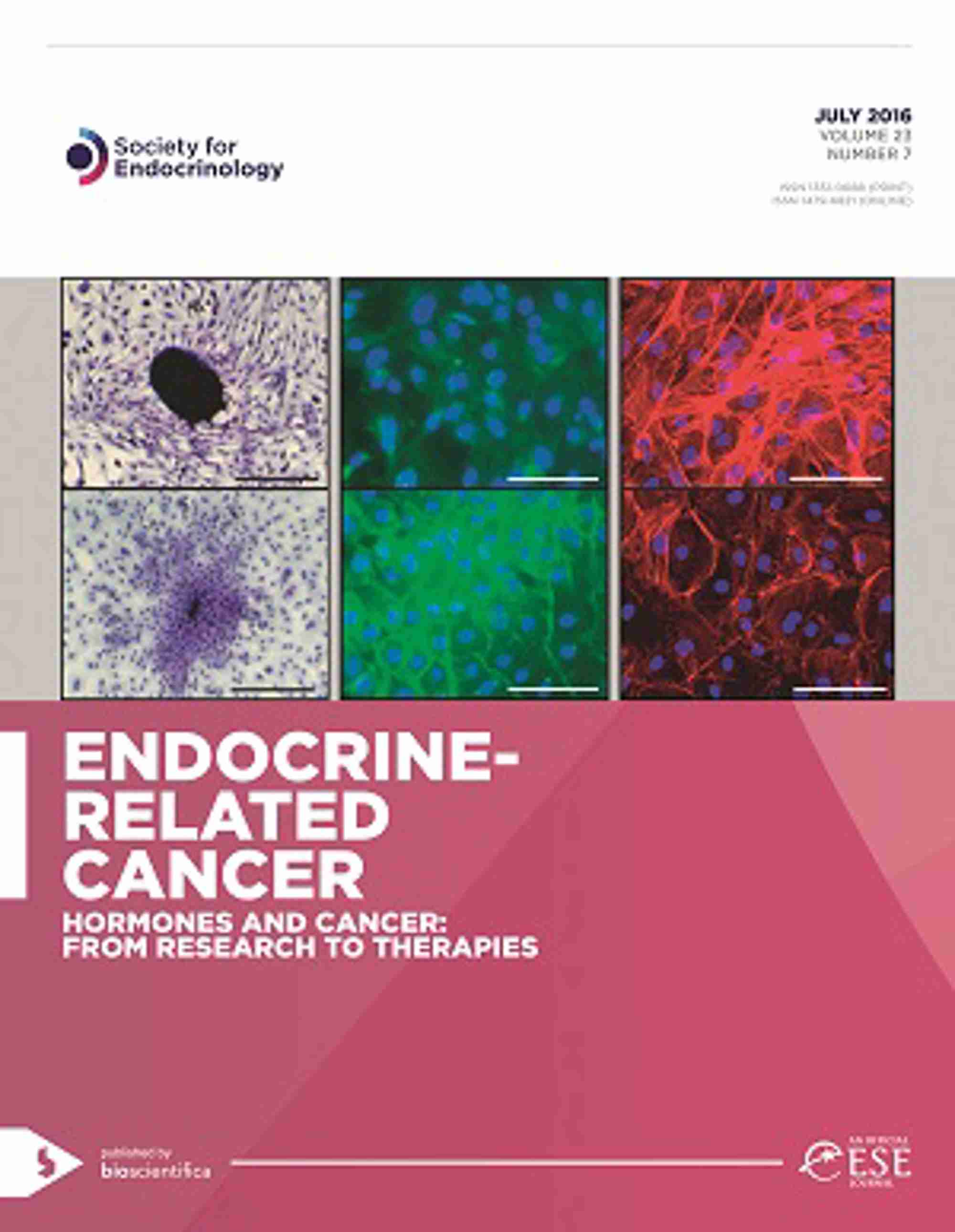 P4 35 ERC front cover-1 small.jpg