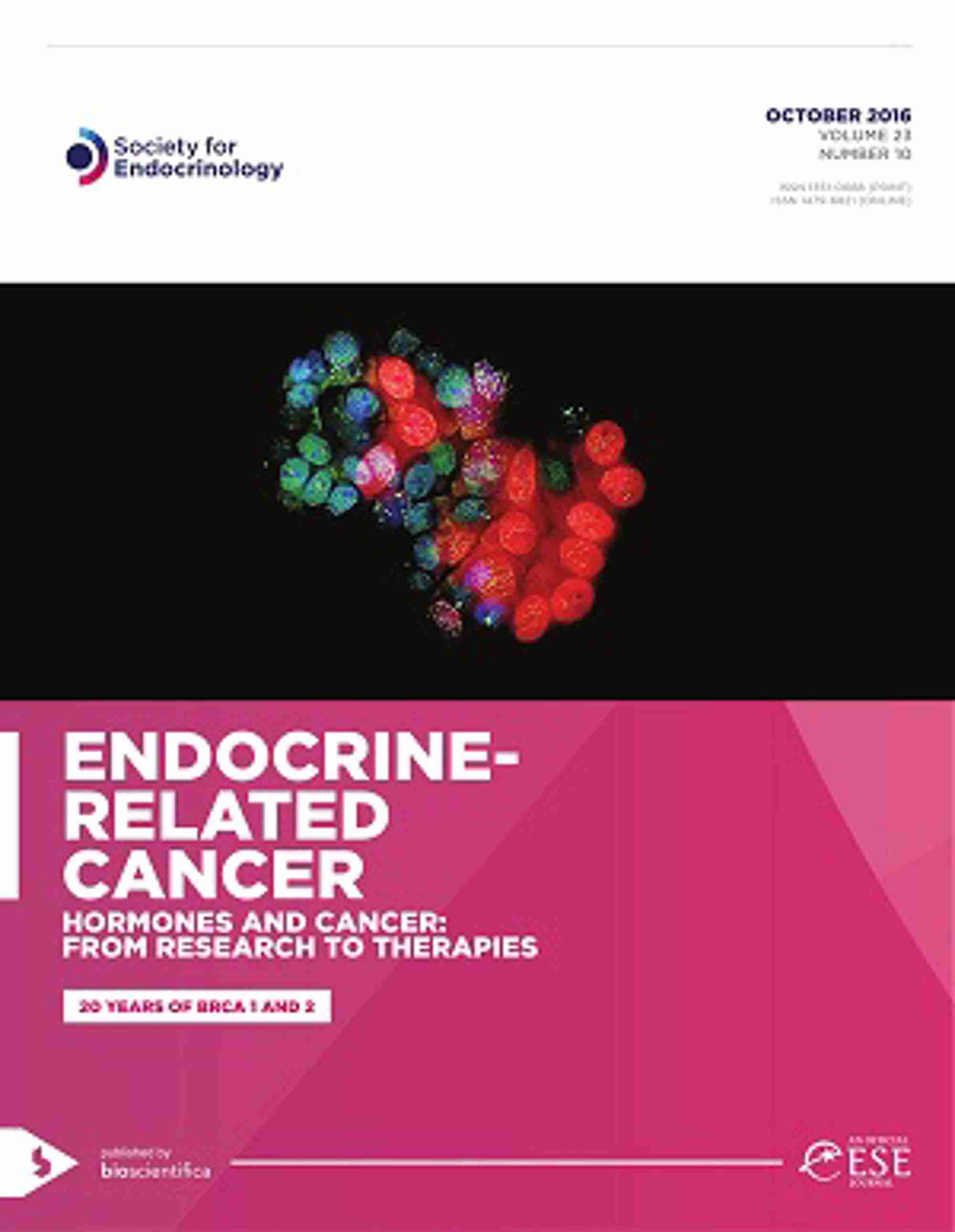 P3 P4 ERC front cover-1 small.jpg