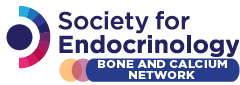 The Bone and Calcium Endocrine Network: our time as convenors