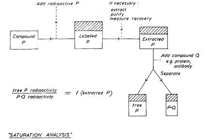 Figure 1. Fundamental principles of saturation analysis