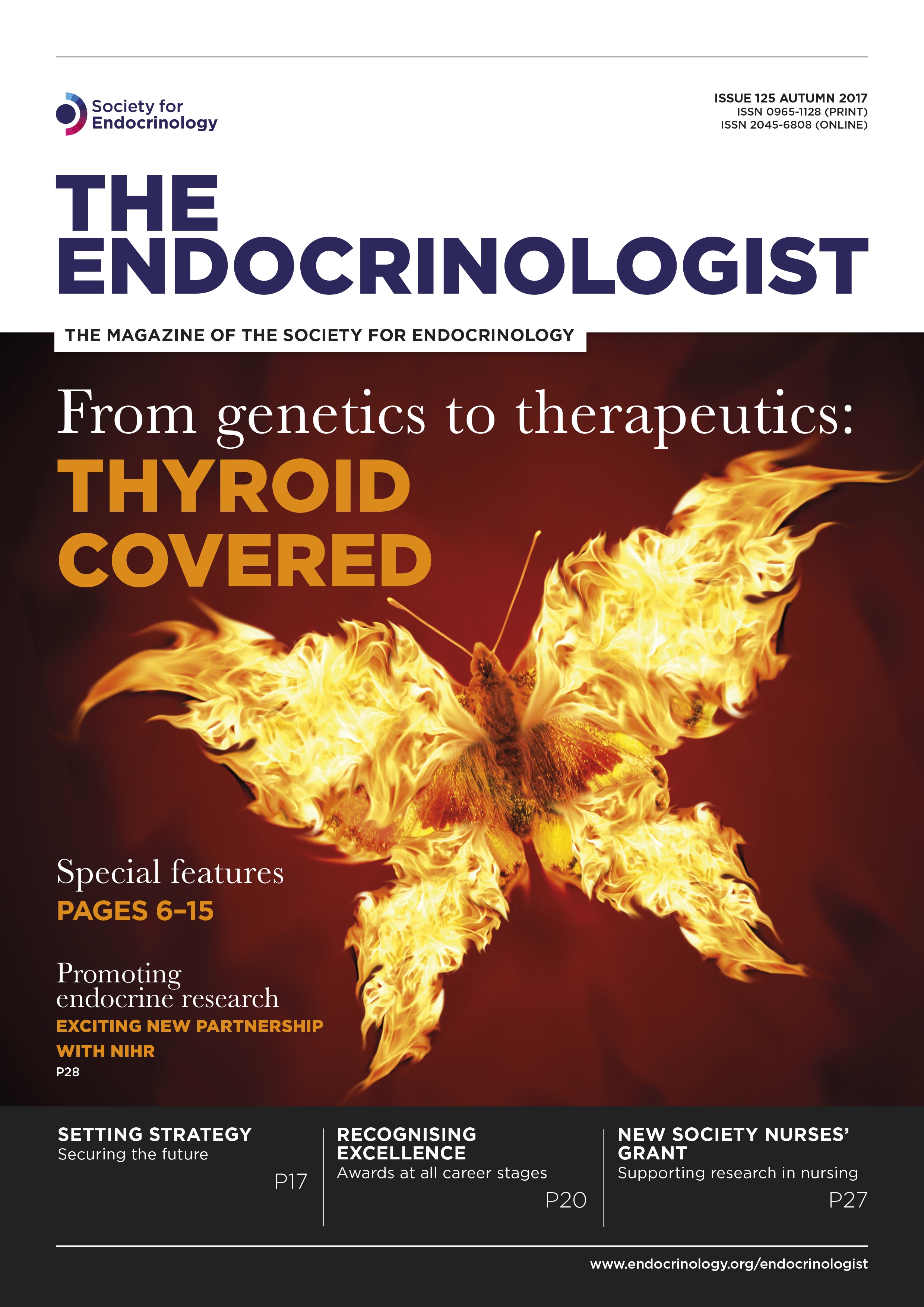 Adrenal insufficiency with opioid analgesia Society for Endocrinology