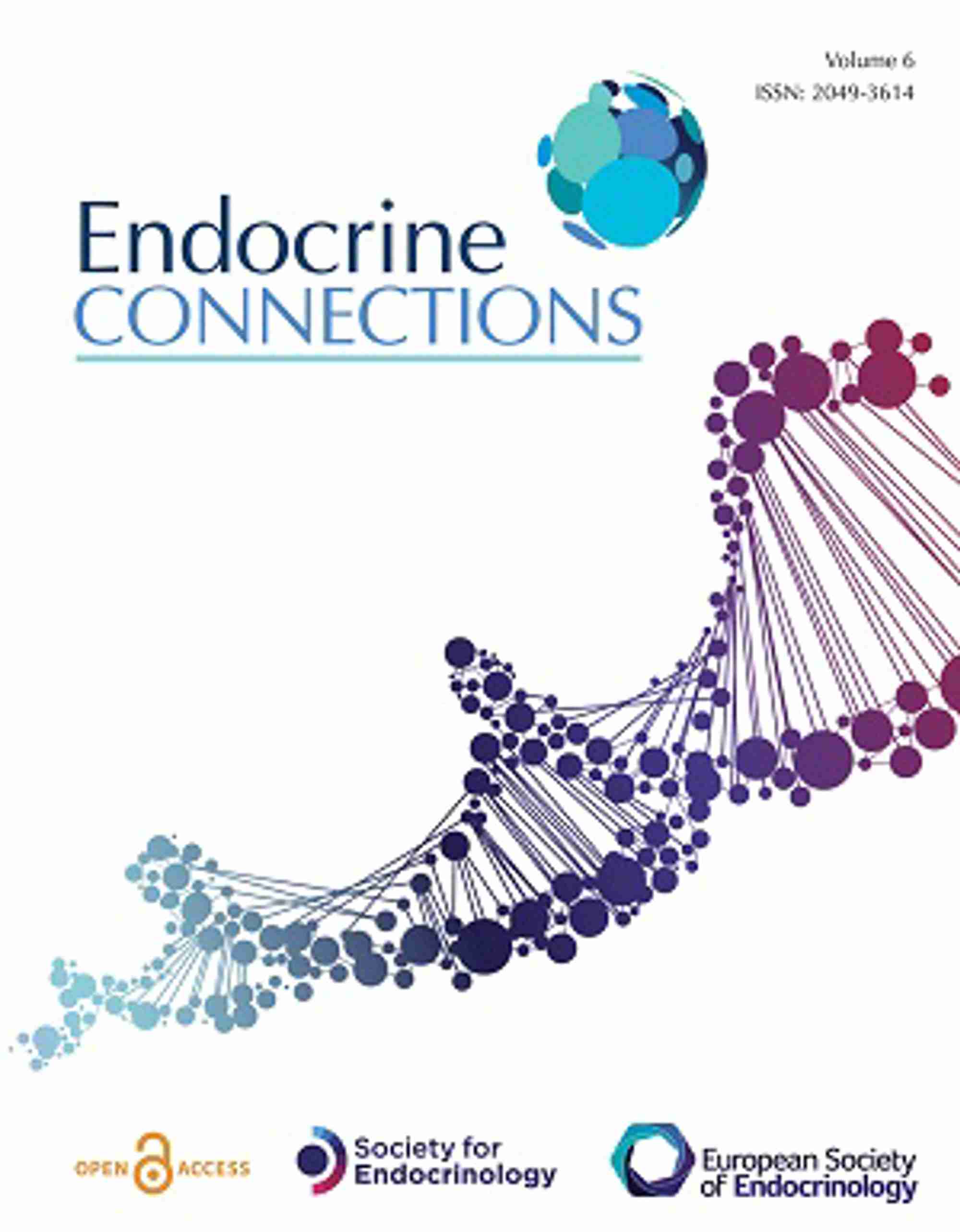 P5 P22 Endocrine Connections new.jpg