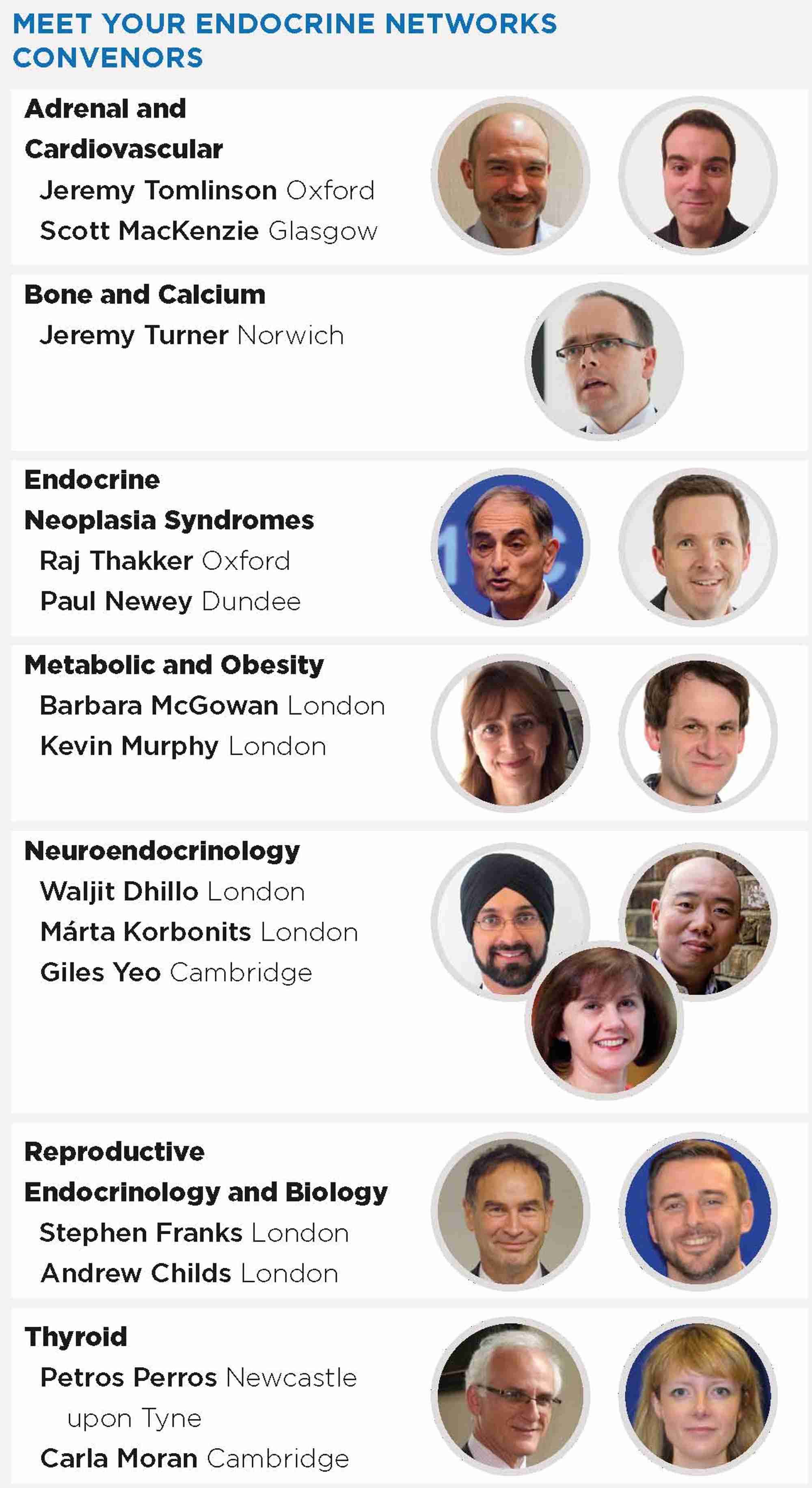endocrine_networks.jpg (1)
