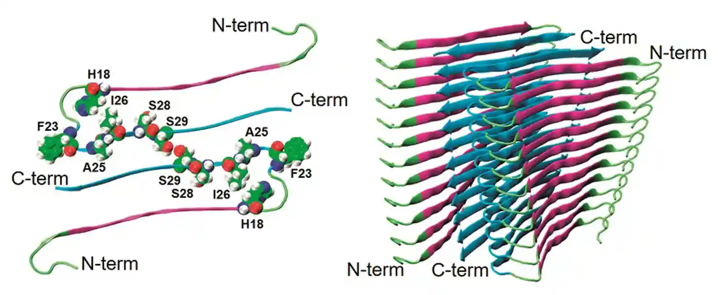 p31 figure-2 formatted.jpg