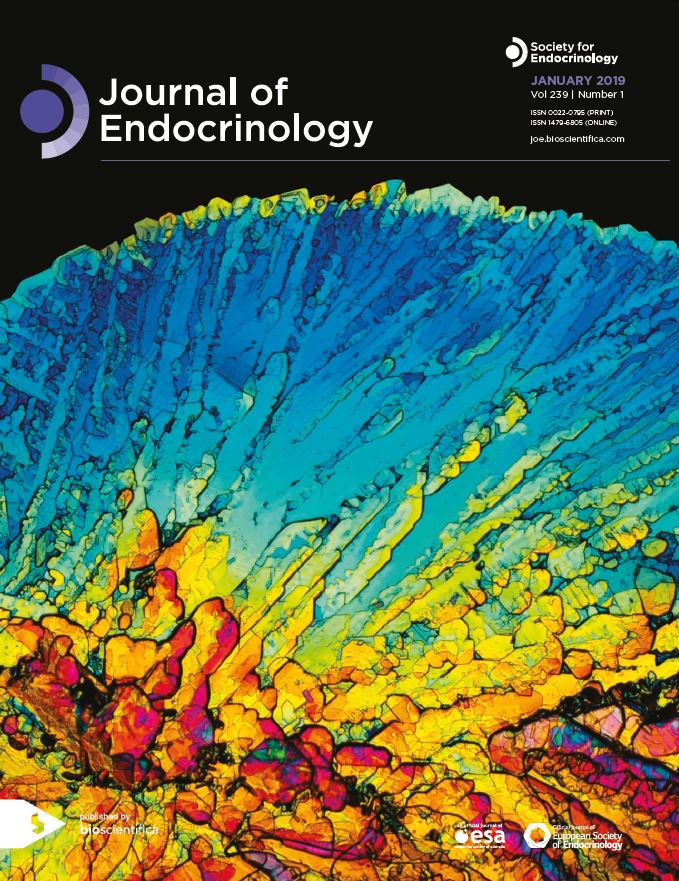 journal of endocrine disorders impact factor