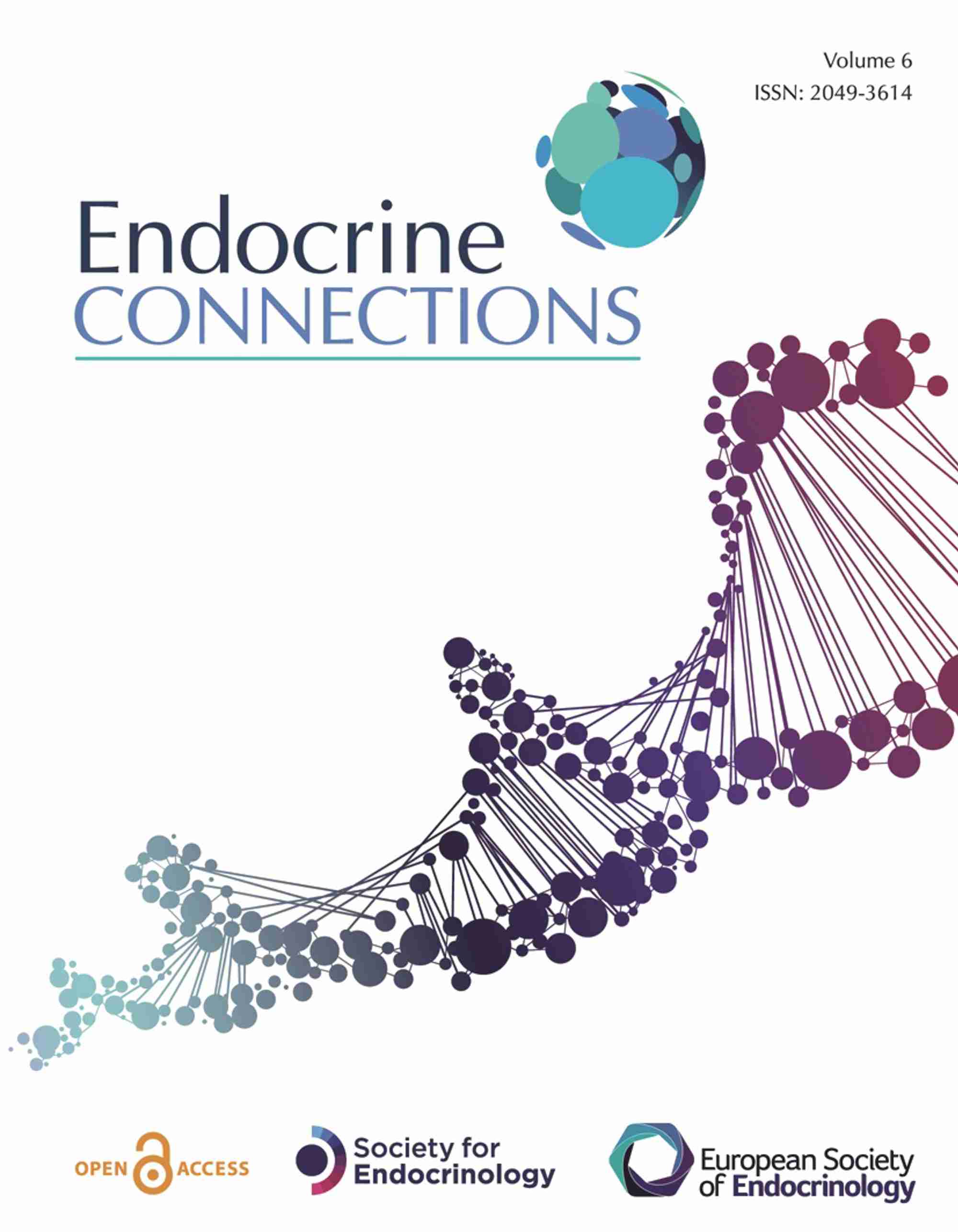 Endocrine Connections new.jpg