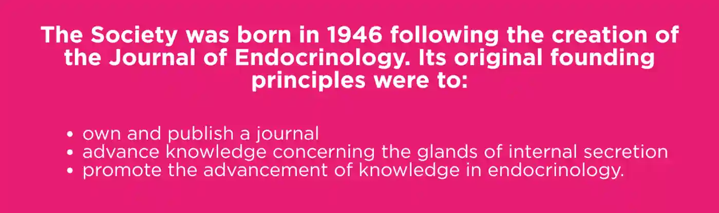 Fundraising Principles