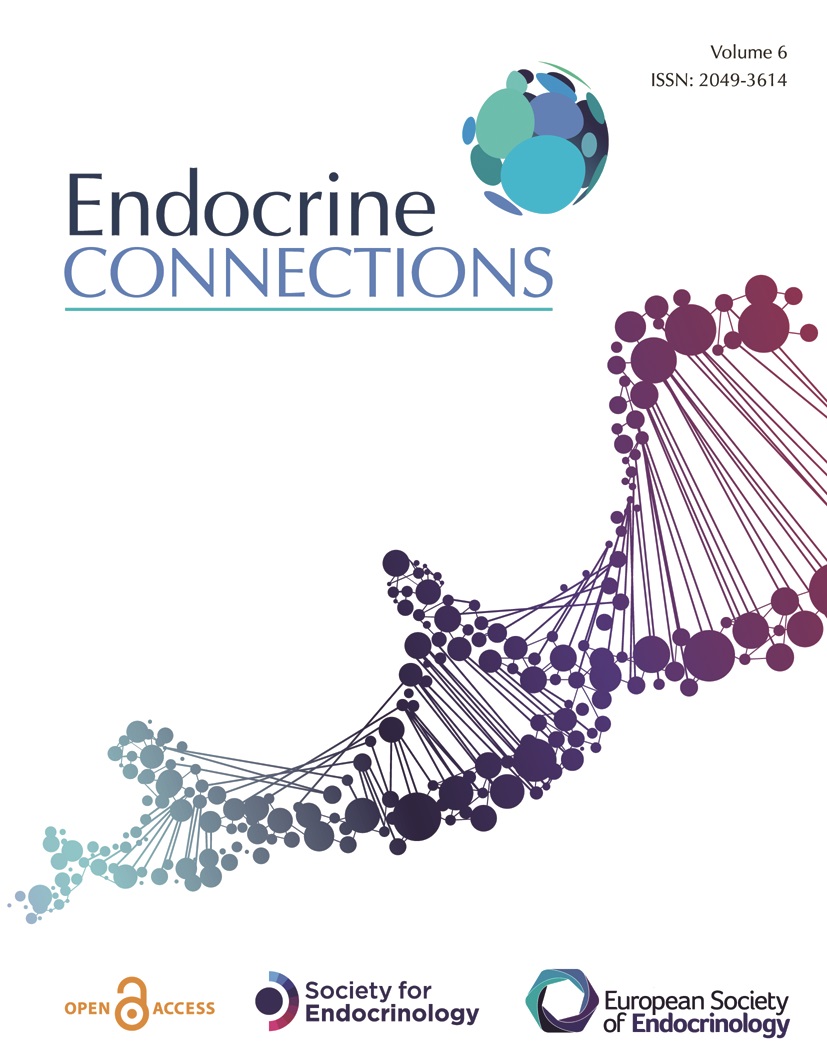 Endocrine Connections new.jpg