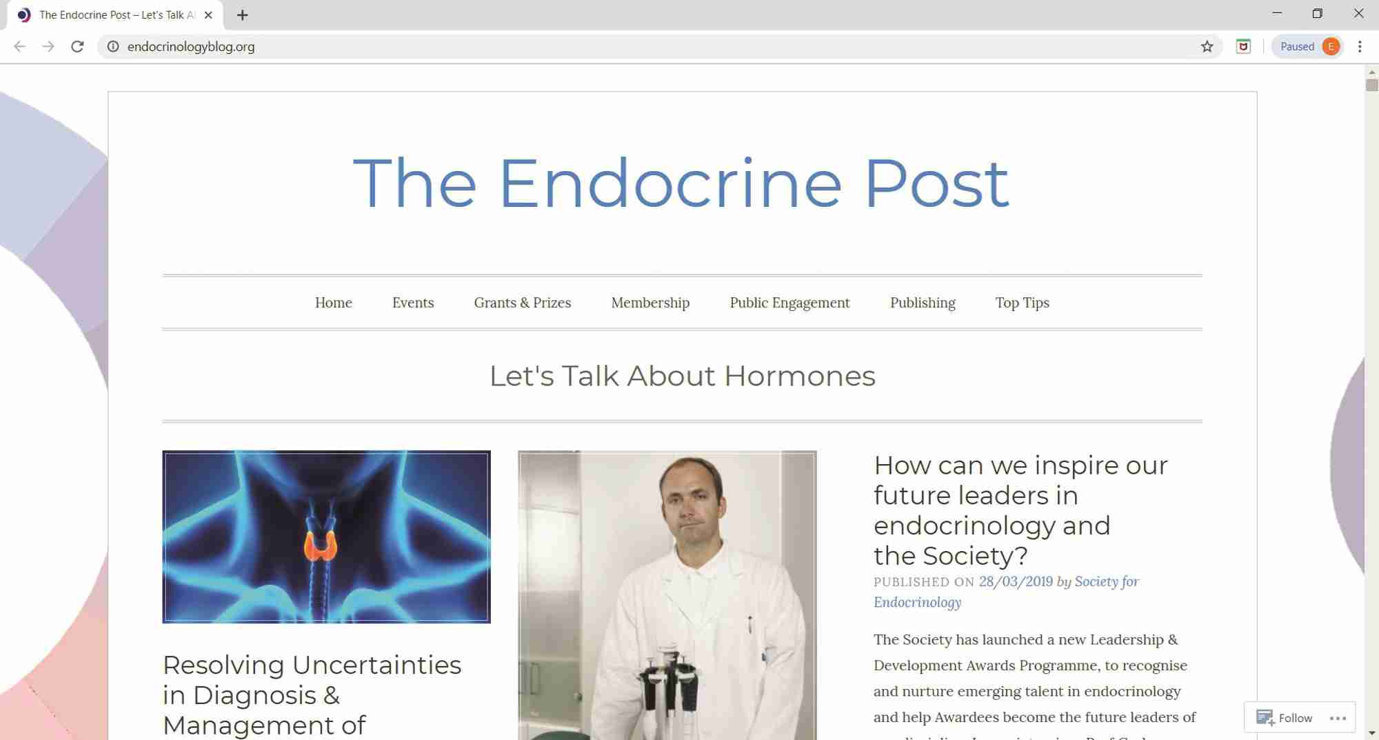 p3 headlines_the endocrine post_screenshot.jpg