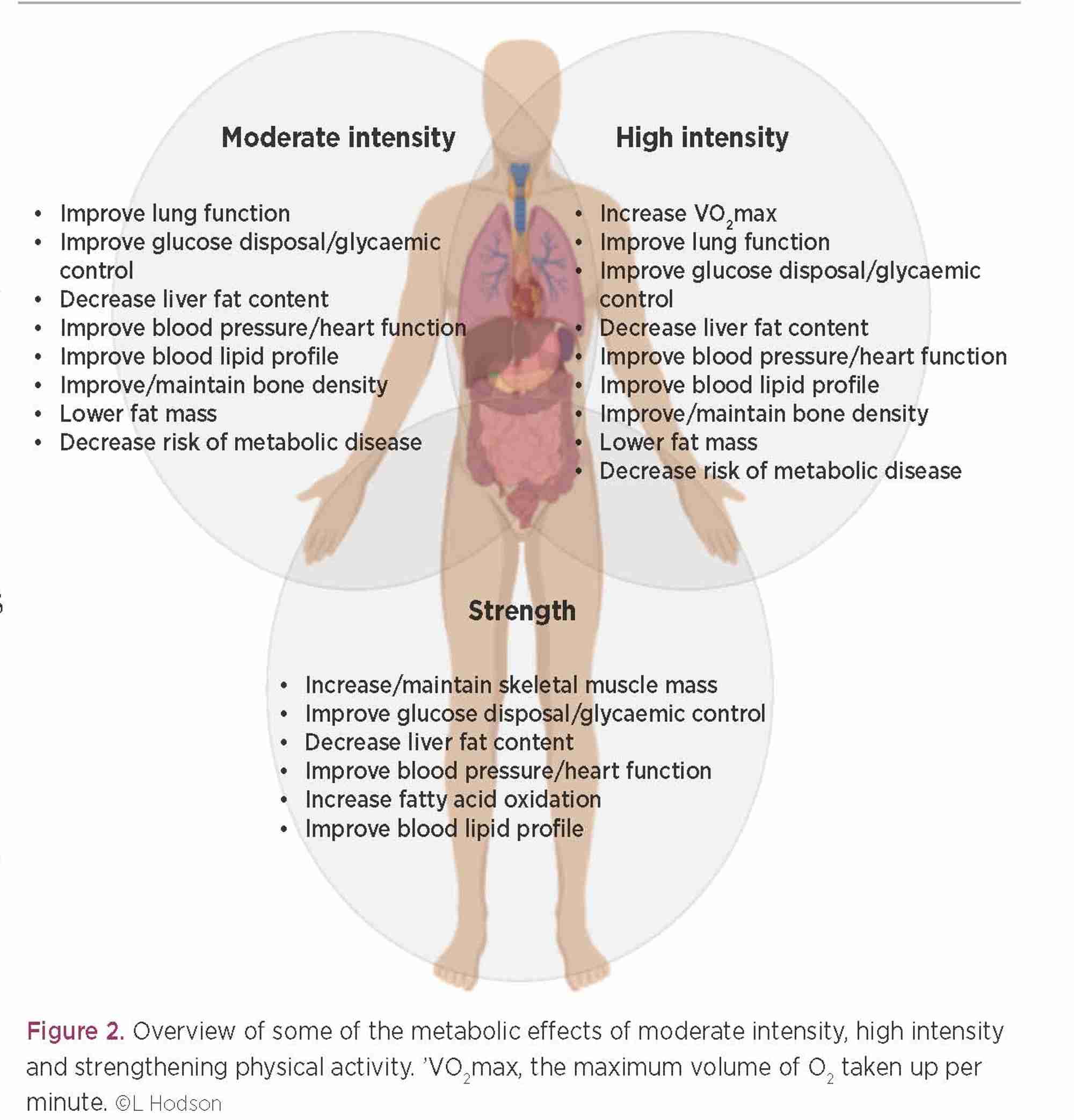 hodson_figure2.jpg