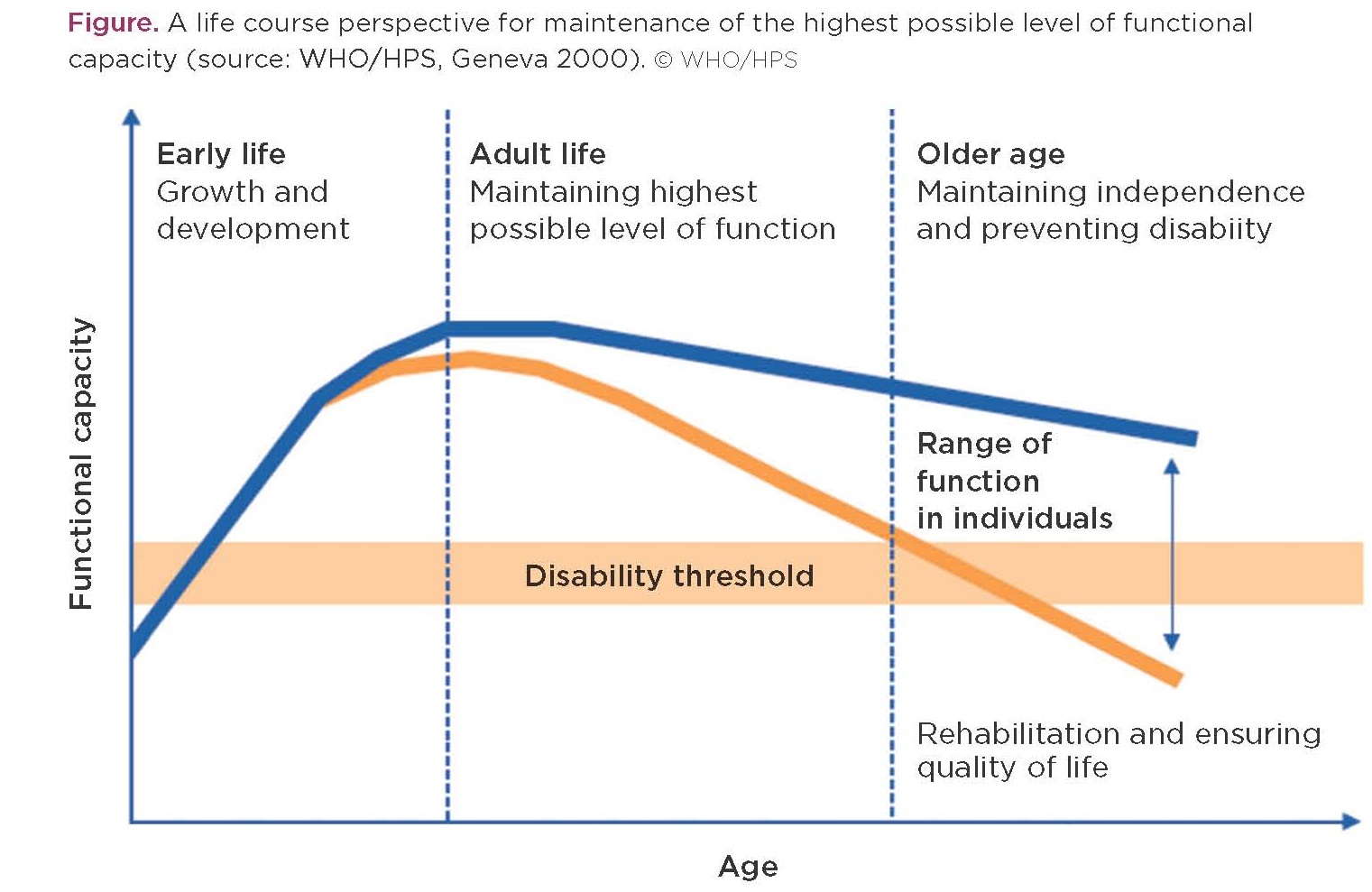 Exercise and endocrinology in advanced age with a focus on testosterone | Society for