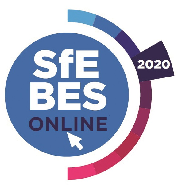 p16-17 SfE BES Online logo.jpg