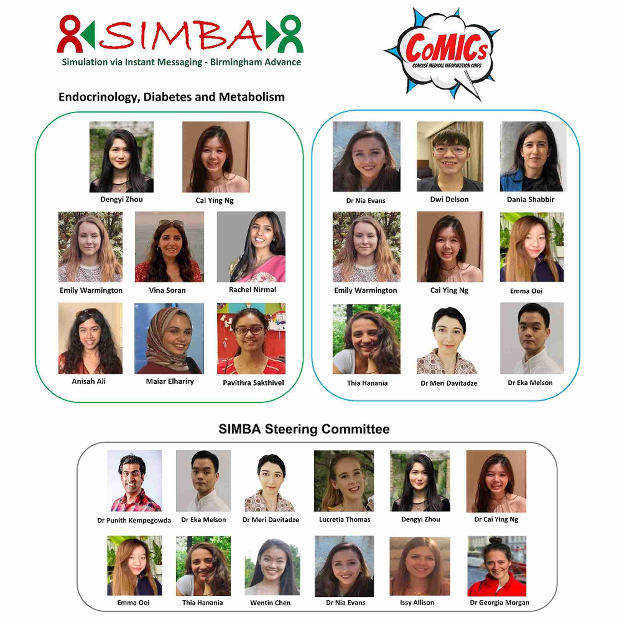 The SIMBA team and steering committee
