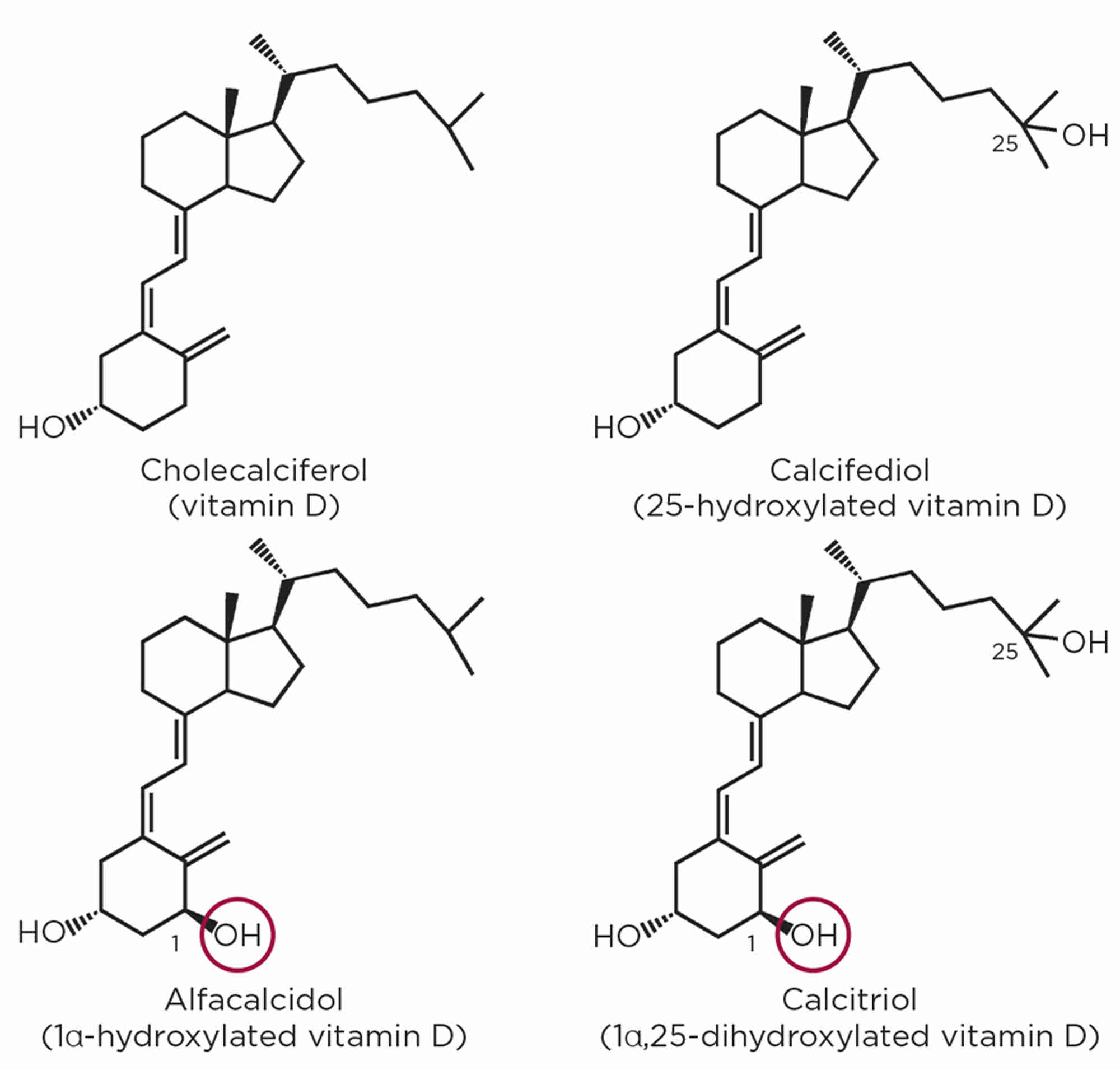 Figure 1. Molecular structure of &#39;plain&#39; vitamin D, calcifediol (25-hydroxylated vitamin D), alfacalcidiol (1α-hydroxylated vitamin D) and calcitriol (1α,25-dihydroxylated vitamin D), highlighting the 1α-hydroxyl group.