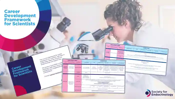 Career Development Framework