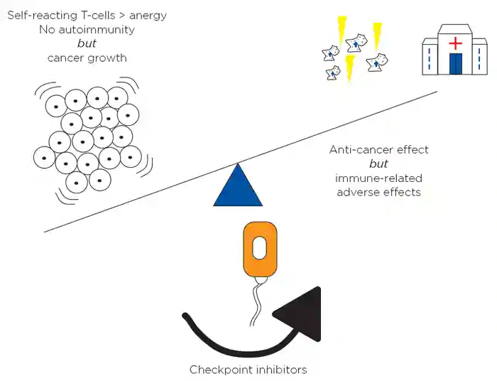 The relationship between anti-cancer effects of checkpoint inhibitors and immune- related events, including endocrine dysfunction. Reproduced from Anderson &amp;amp; Morganstein8 under CC BY-NC 4.0 licence. &#169;The Authors 2021.