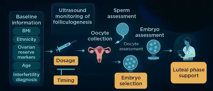 IVF and the utility of AI.