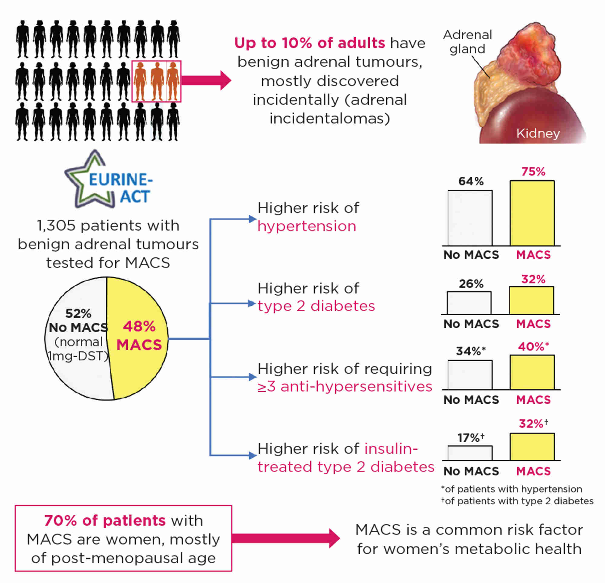 Figure. All patients with newly diagnosed adrenal tumours should undergo a 1mg-DST to screen for MACS. In the EURINE-ACT Study, 1,305 patients with benign adrenal tumours (incidentally discovered in 1,240) underwent a 1mg-DST. 48% of patients with adrenal incidentalomas had abnormal 1mg-DST results. Patients with MACS were more likely to be post-menopausal women and carried a higher cardiometabolic risk than those with normal 1mg-DST results.