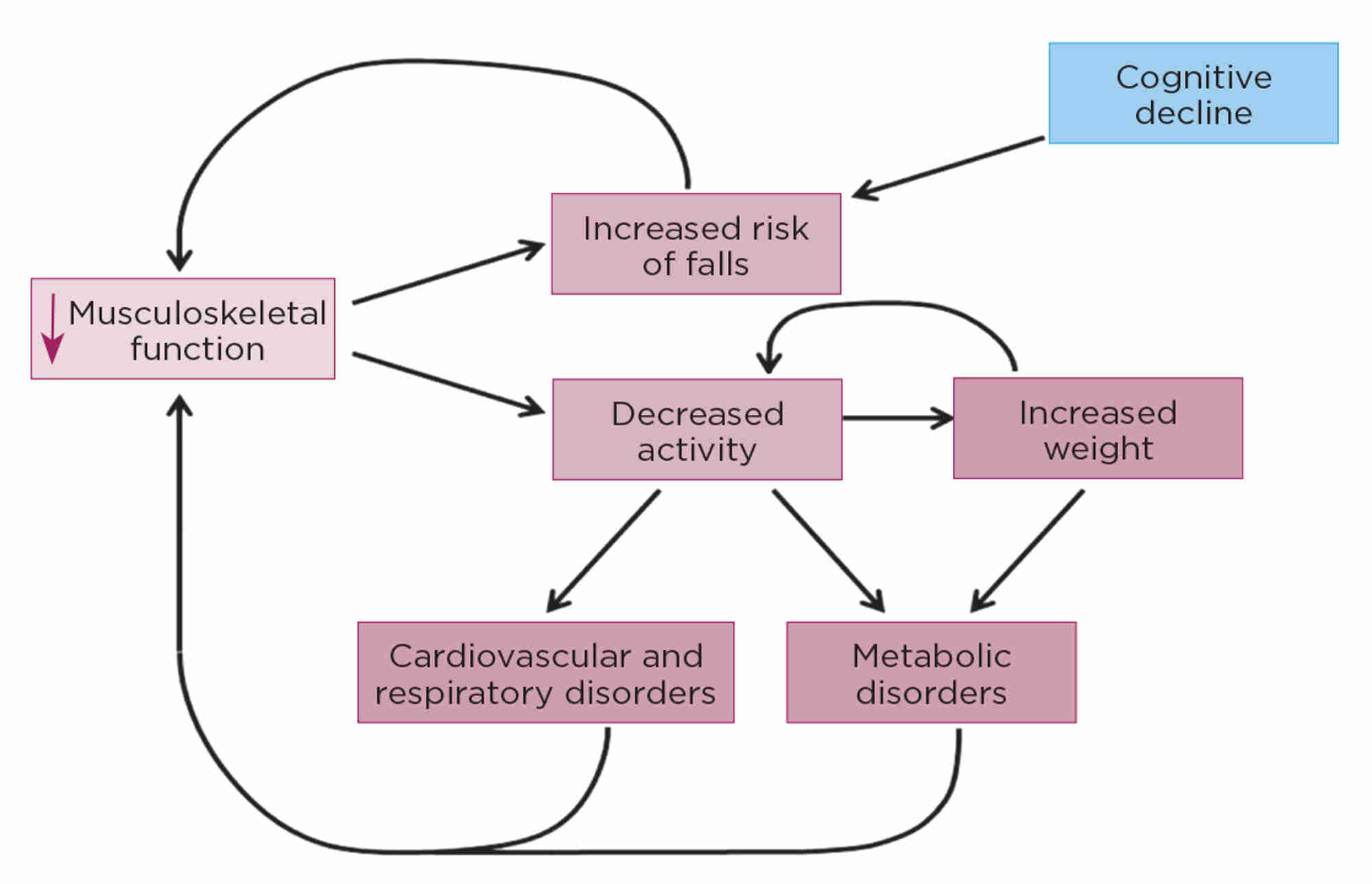 Figure 2. Placing musculoskeletal decline at the centre of age-related health decline. The decrease in musculoskeletal function can lead to increasing falls and decreasing activity, which feedback directly and indirectly, causing further declines. These effects are known to influence other age-related conditions and co-morbidities.