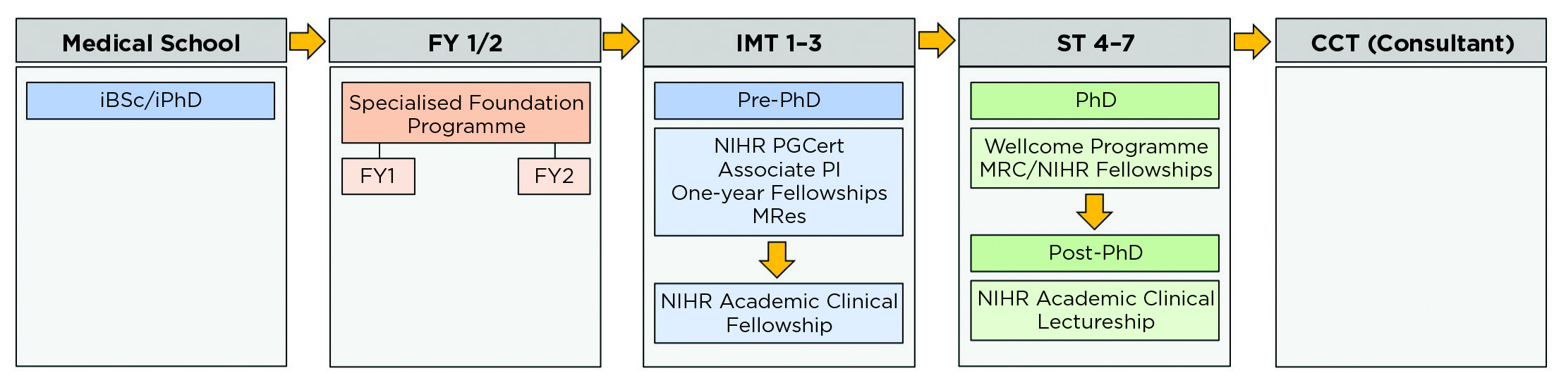 Possible opportunities for trainees to gain experience in clinical academic training. Associate PI, associate principal investigator; FY 1/2, foundation years 1/2; iBSc/iPhD, intercalated BSc/PhD; IMT 1–3, internal medicine training years 1–3; MRes, Master of Research; NIHR PGCert, NIHR Postgraduate Certificate; ST4–7, specialty training years 4–7.