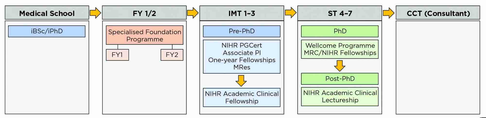 Possible opportunities for trainees to gain experience in clinical academic training. Associate PI, associate principal investigator; FY 1/2, foundation years 1/2; iBSc/iPhD, intercalated BSc/PhD; IMT 1–3, internal medicine training years 1–3; MRes, Master of Research; NIHR PGCert, NIHR Postgraduate Certificate; ST4–7, specialty training years 4–7.