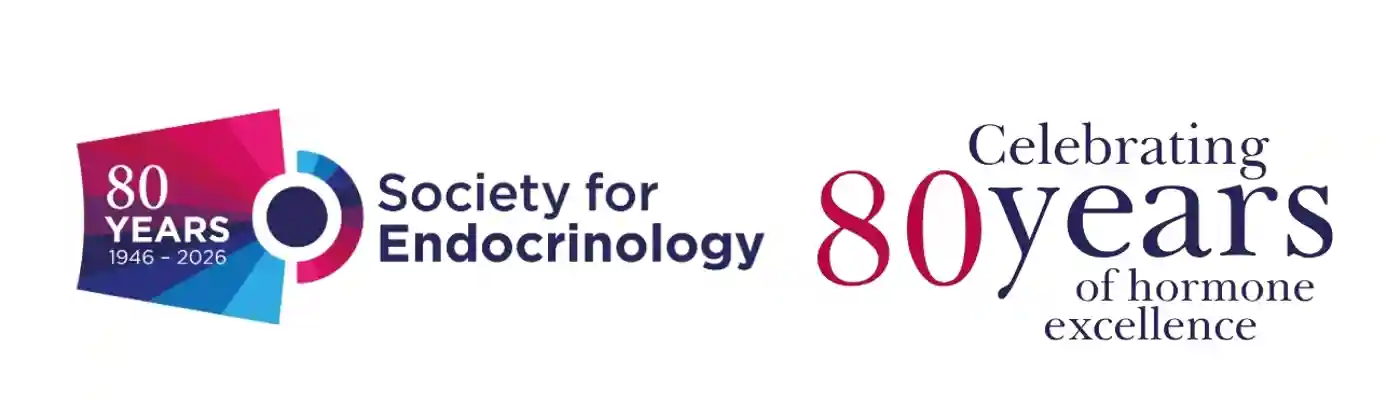 80 Years Banner Test (2)