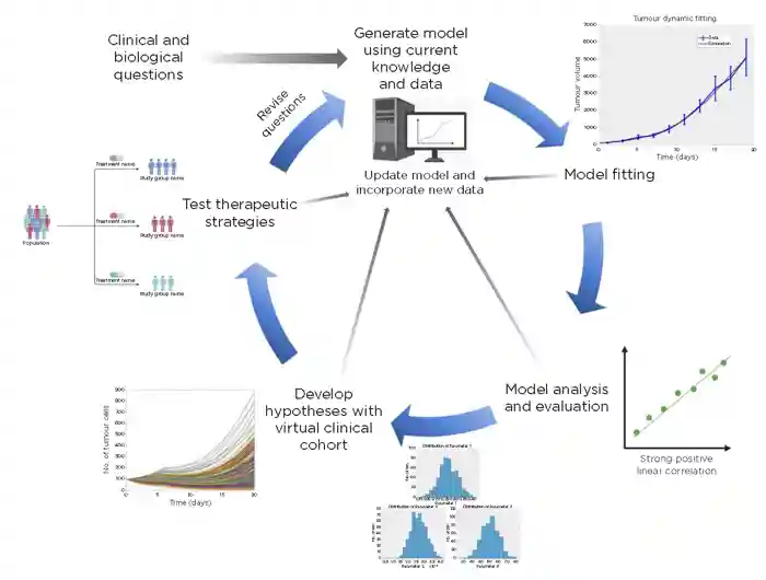 The multidisciplinary cycle of a computational model, illustrated with mechanistic modelling, spans the pathway from bench to bedside. Reproduced under CC BY 4.0 licence from Metzcar et al.1 &#169;2020 The Authors