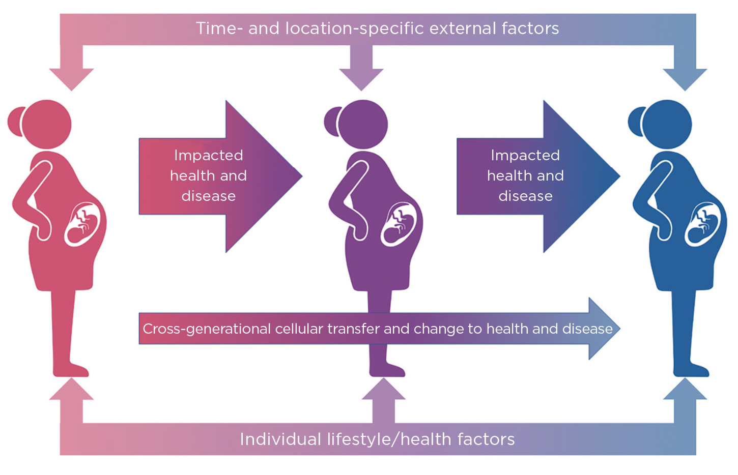 Cartoon showing the factors that can have cross-generational effects on infant and adult health.