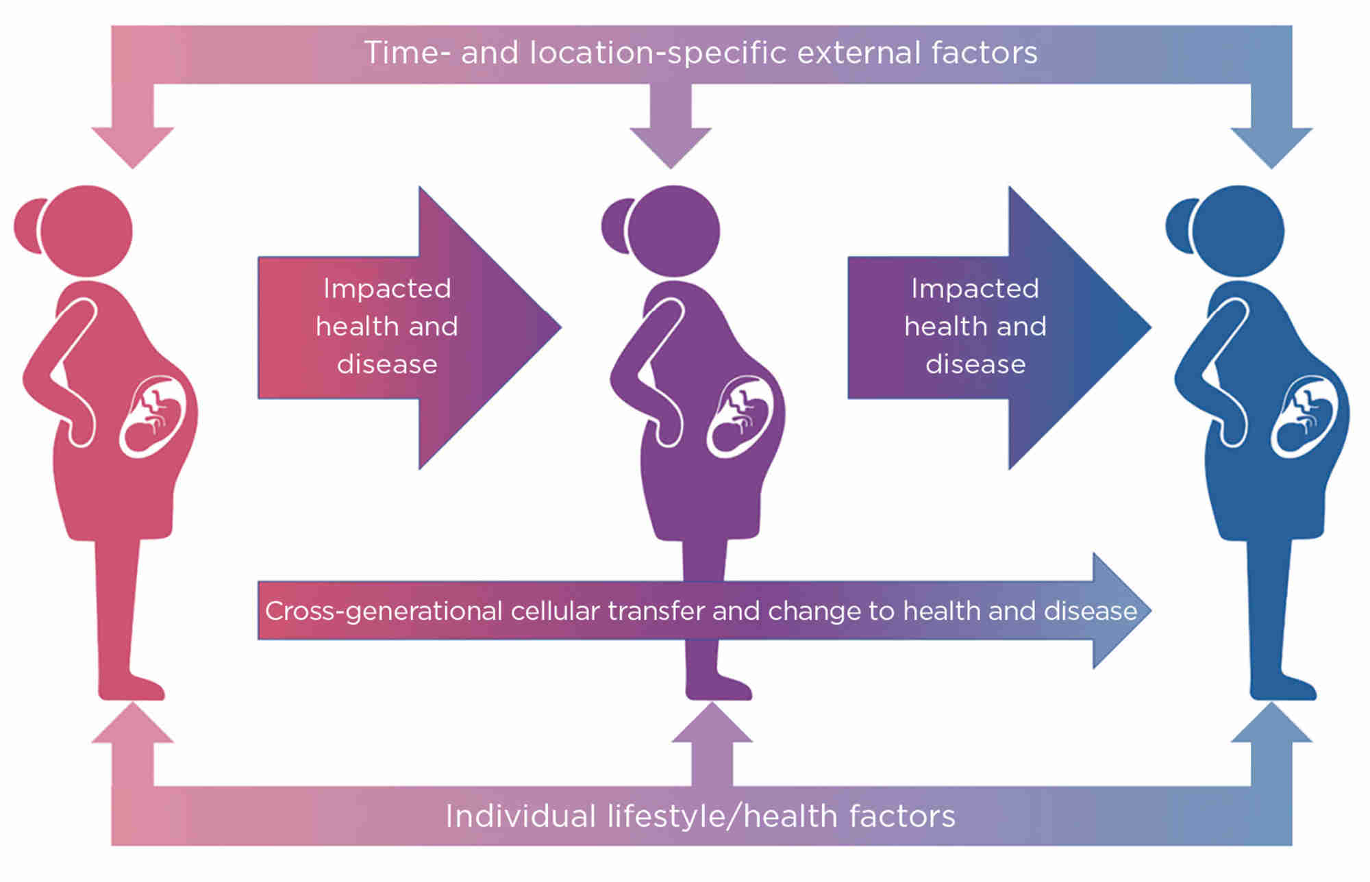 Cartoon showing the factors that can have cross-generational effects on infant and adult health.