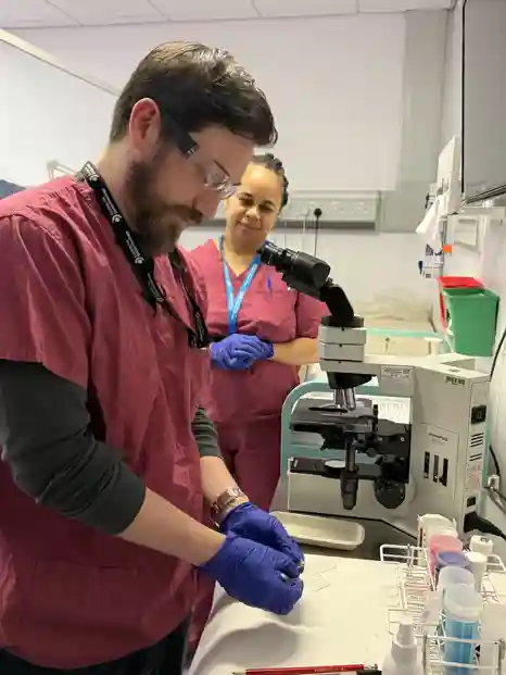 Slide fixation and rapid on-site evaluation.